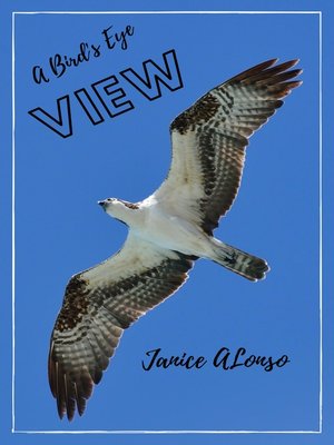 cover image of A Bird's-Eye View